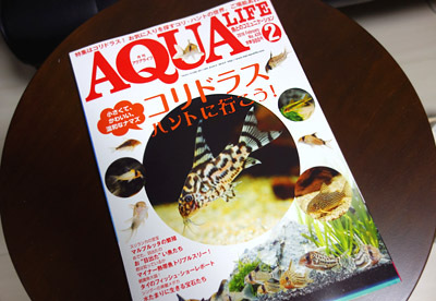 アクアライフ2月号
