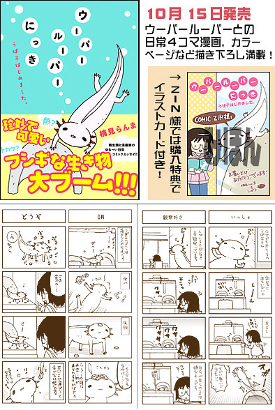 ウーパールーパーにっき うぱ子はじめました。