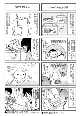 ウパだより04本分見本