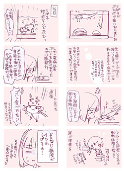 クリックで別窓・拡大表示します。