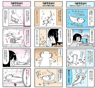 うぱ子だより01〜03