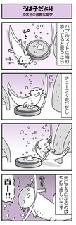 【うぱ子だより08】
