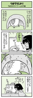 うぱ子だより10